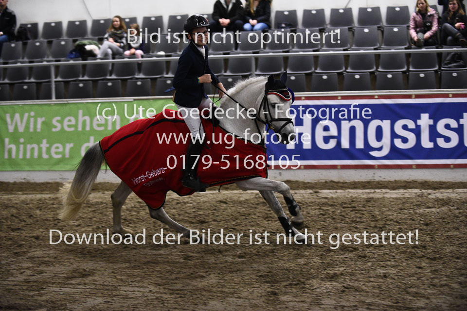 28012018-BNCH-Ponyspringen_246.jpg