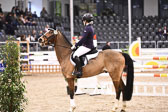 BNCH der Ponyspringreiter