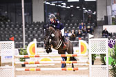 BNCH der Ponyspringreiter