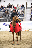 BNCH der Ponyspringreiter