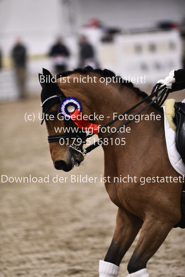 27012018-Grand-Prix-Kür_224.jpg