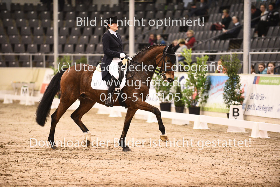 27012018--Kurz-Grand-Prix_003.jpg