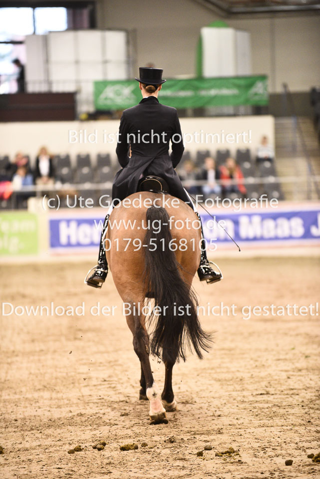 27012018--Kurz-Grand-Prix_016.jpg