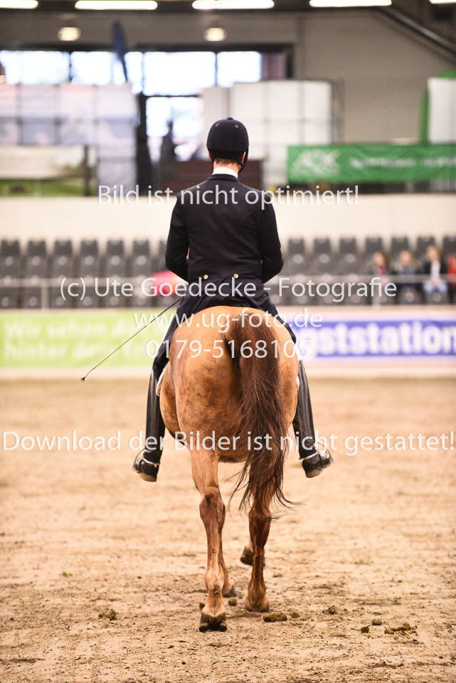 27012018--Kurz-Grand-Prix_033.jpg