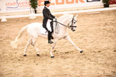 27012018--Kurz-Grand-Prix_111.jpg