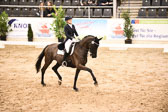 27012018--Kurz-Grand-Prix_209.jpg