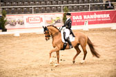 27012018--Kurz-Grand-Prix_301.jpg