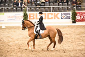 27012018--Kurz-Grand-Prix_303.jpg