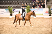 27012018--Kurz-Grand-Prix_304.jpg