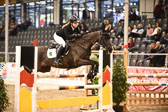 Ponystilspringen KL L