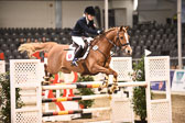 Ponystilspringen KL L