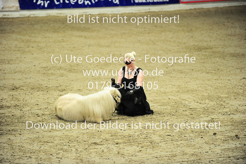 Showwettkampf-_009.jpg