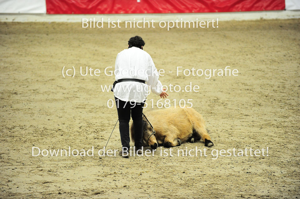 Showwettkampf-_010.jpg