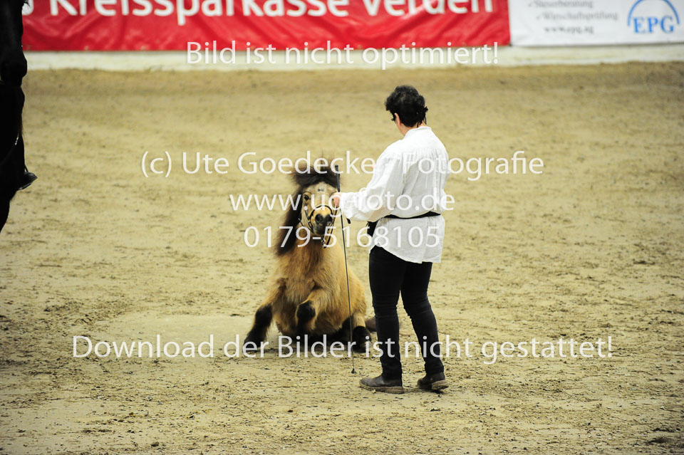 Showwettkampf-_011.jpg