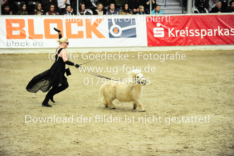 Showwettkampf-_017.jpg