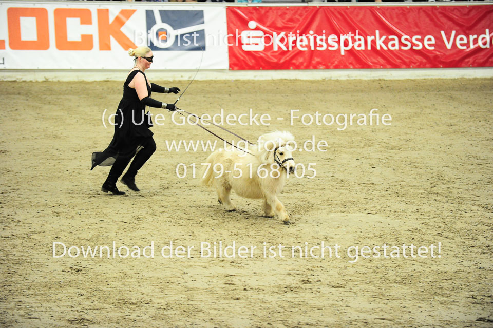 Showwettkampf-_018.jpg