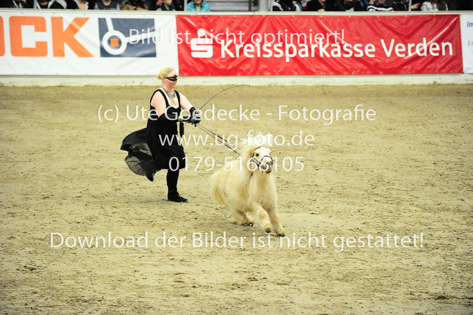 Showwettkampf-_019.jpg