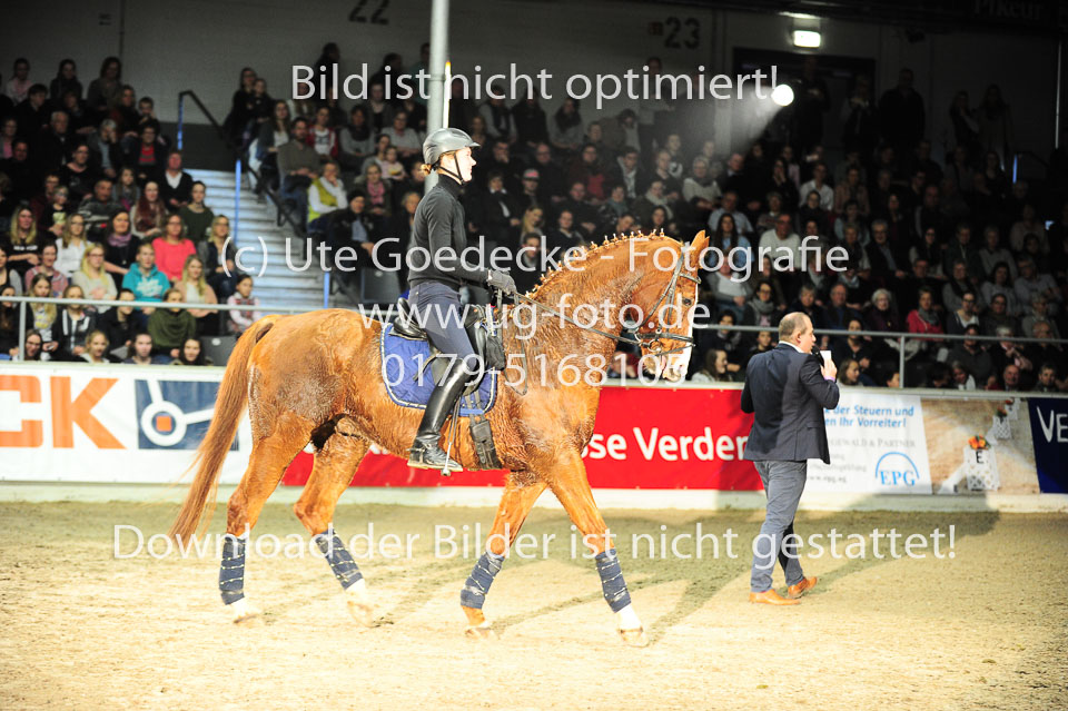 Showwettkampf-_045.jpg
