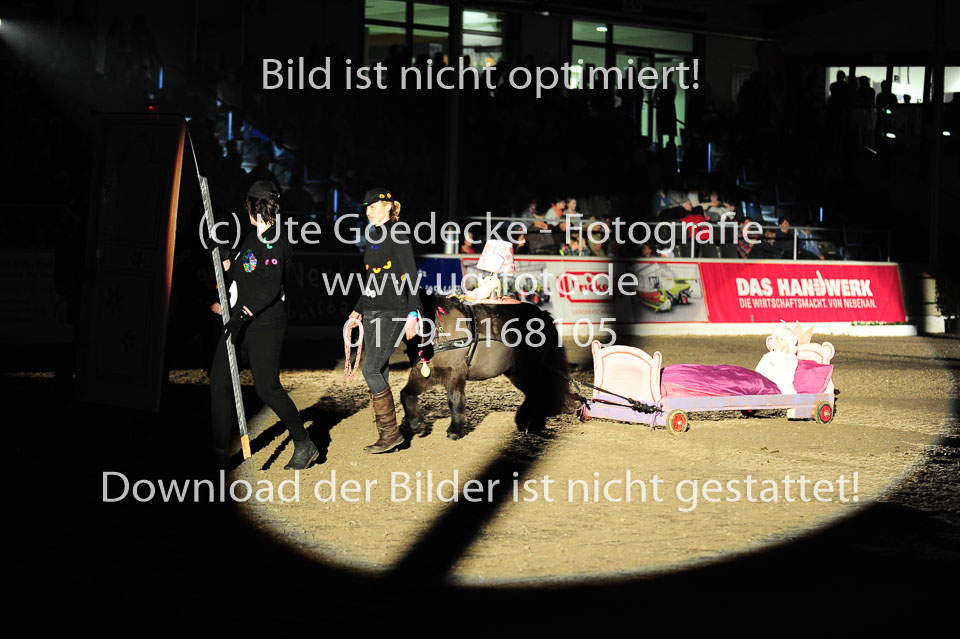 Showwettkampf-_047.jpg