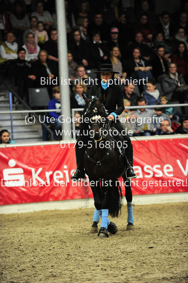 Showwettkampf-_142.jpg