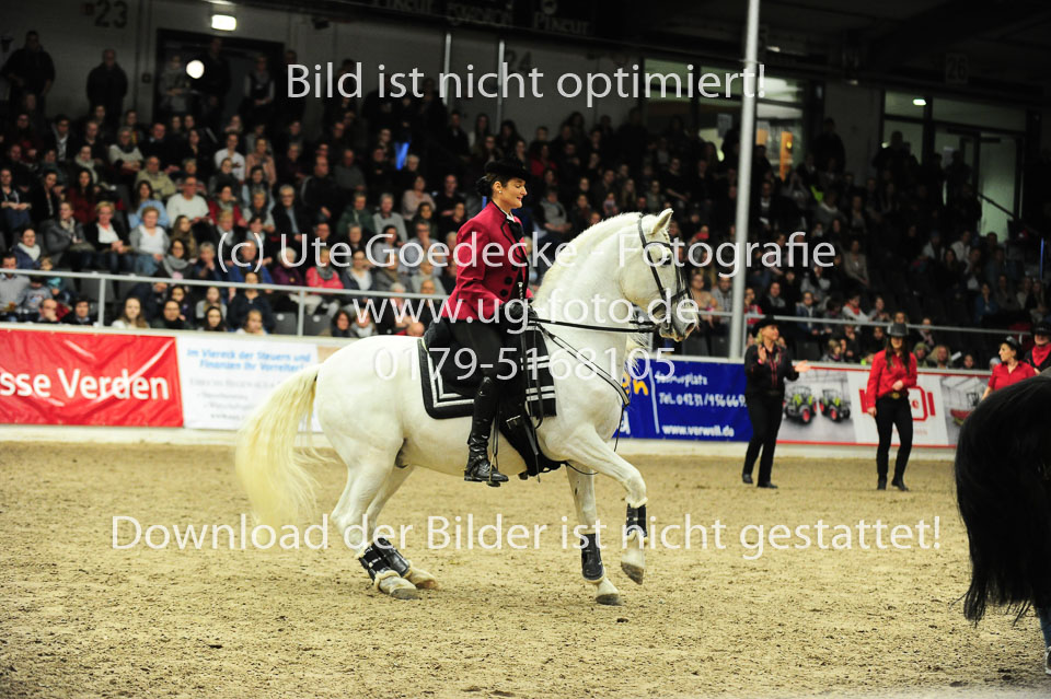 Showwettkampf-_148.jpg
