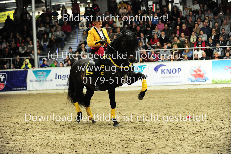 Showwettkampf-_160.jpg