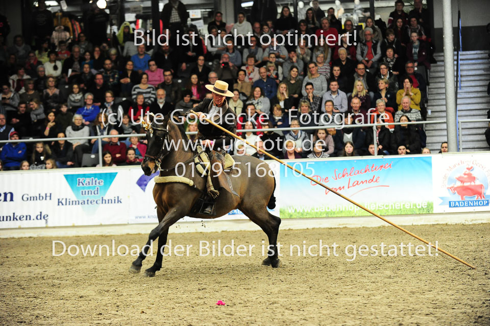 Showwettkampf-_177.jpg