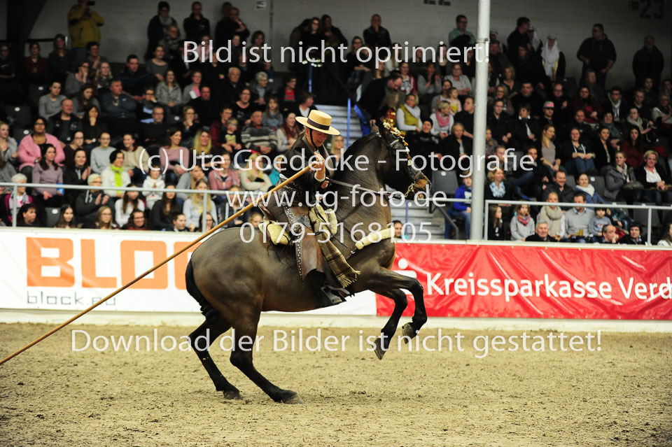 Showwettkampf-_183.jpg