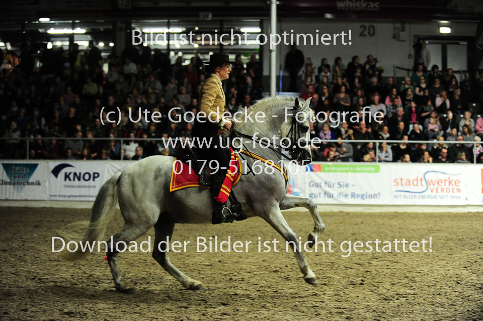 Showwettkampf-_208.jpg