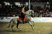 Showwettkampf der Reitvereine
