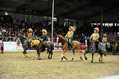 Showwettkampf der Reitvereine