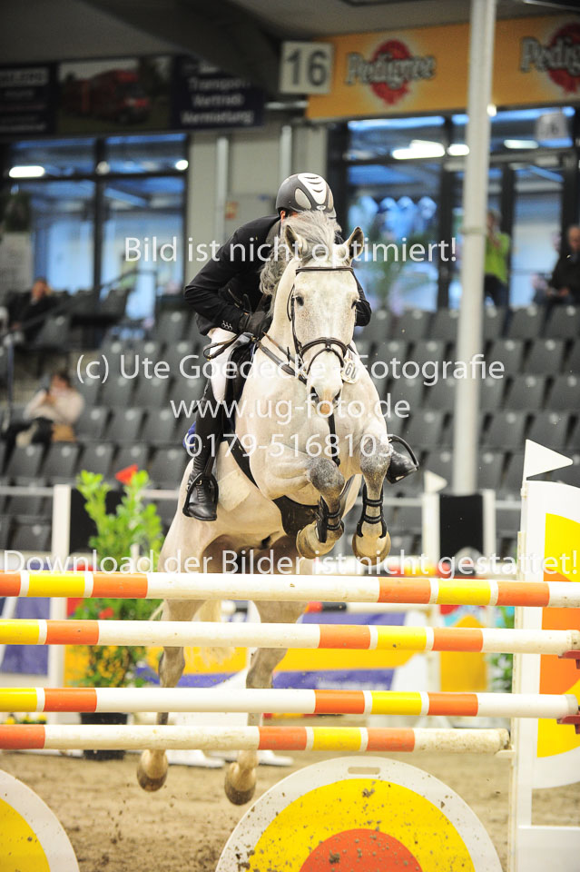 26012018---Springen-Kl-S-1Quali_204.jpg