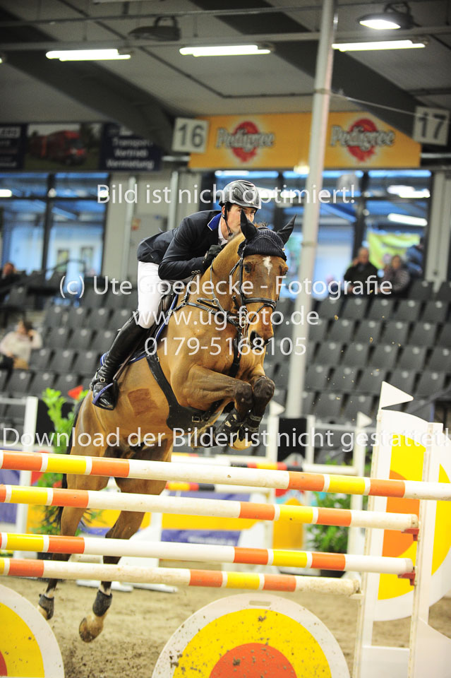 26012018---Springen-Kl-S-1Quali_208.jpg