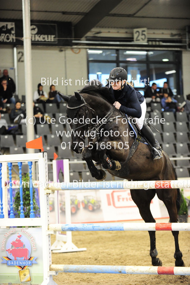 26012018---Springen-Kl-S-1Quali_239.jpg