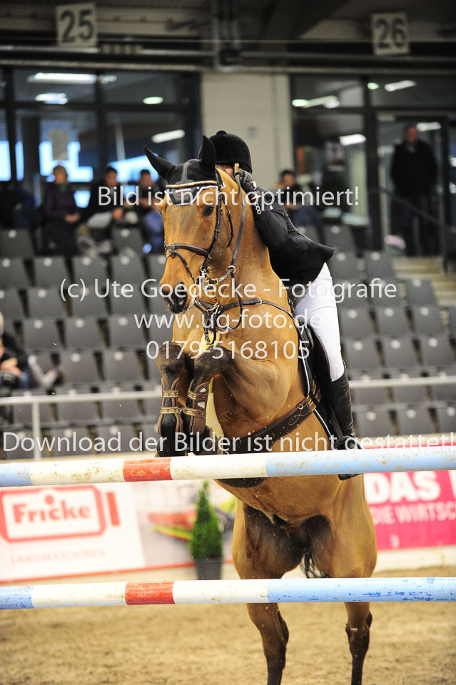 26012018---Springen-Kl-S-1Quali_252.jpg