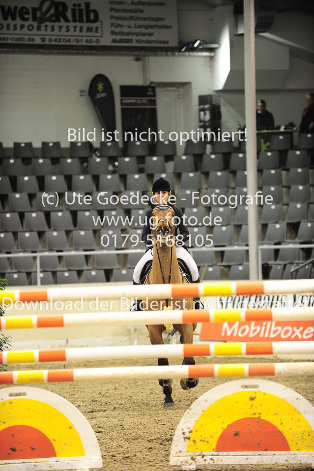 26012018---Springen-Kl-S-1Quali_253.jpg