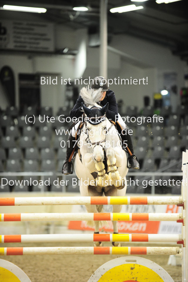 26012018---Springen-Kl-S-1Quali_283.jpg