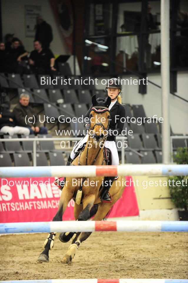 26012018---Springen-Kl-S-1Quali_318.jpg