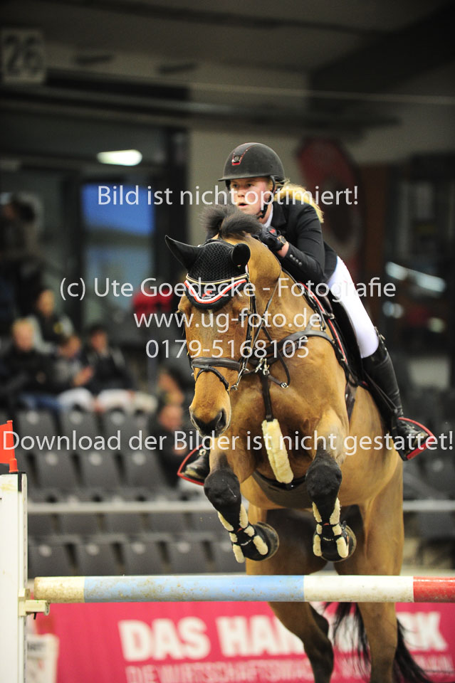 26012018---Springen-Kl-S-1Quali_319.jpg