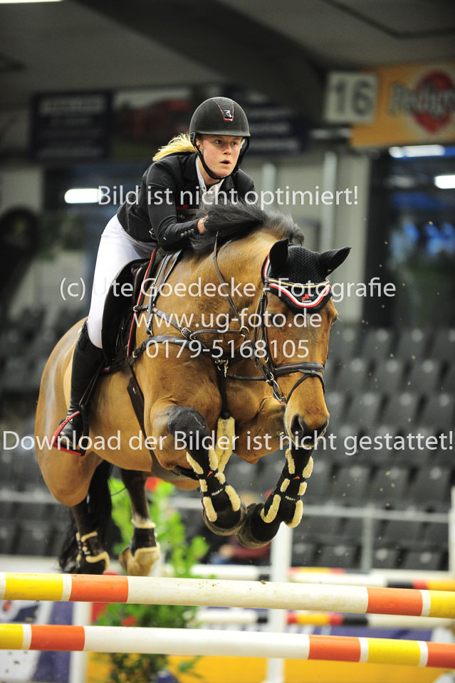 26012018---Springen-Kl-S-1Quali_322.jpg