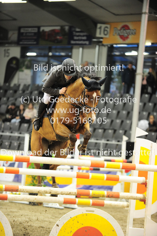 26012018---Springen-Kl-S-1Quali_329.jpg