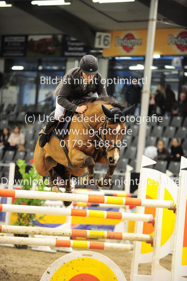 26012018---Springen-Kl-S-1Quali_330.jpg