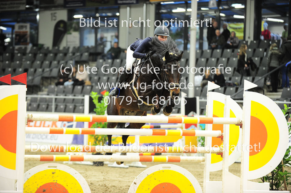26012018---Springen-Kl-S-1Quali_333.jpg