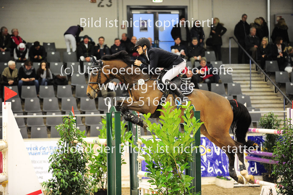 26012018---Springen-Kl-S-1Quali_336.jpg