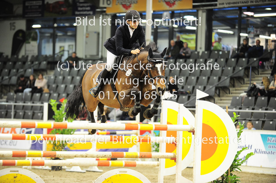 26012018---Springen-Kl-S-1Quali_340.jpg