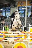 26012018---Springen-Kl-S-1Quali_204.jpg