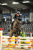 26012018---Springen-Kl-S-1Quali_305.jpg