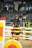 26012018---Springen-Kl-S-1Quali_313.jpg