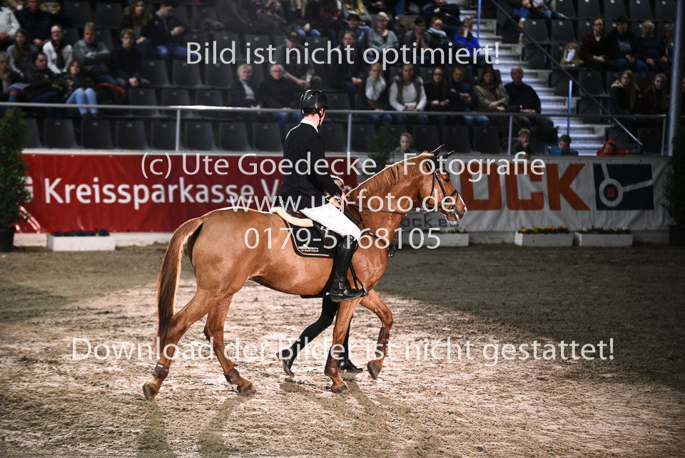 27012018---Springen-KL-S--2Quali_067.jpg