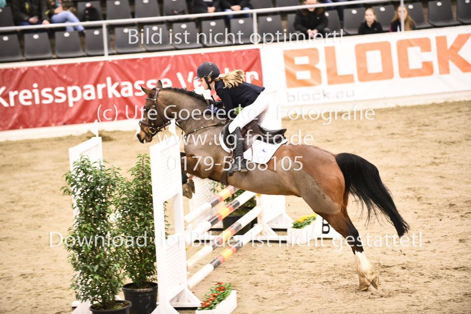 27012018---Team-Springen-A-L-M_031.jpg